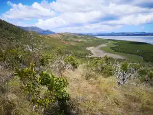 Diagnostic environnemental et social de l’île de Pam